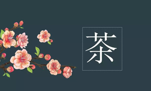 2121非凡之家宜昌店业务部发展关于茶艺知识培训